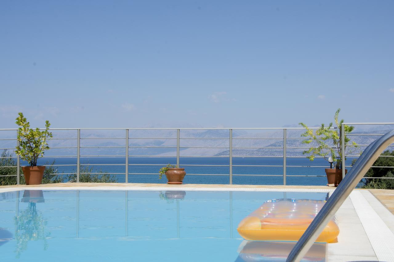 Olive Grove And Sea View